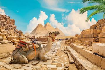 【エジプト】在住者直伝！行くべき都市14選～遺跡・リゾート・アウドドアまで～