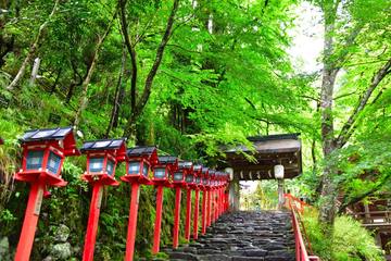 京都駅から貴船神社へのアクセスと見どころ！神秘を巡る旅の完全ガイド