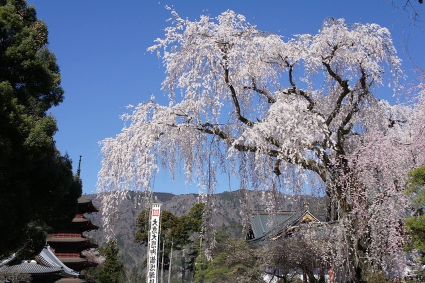 「ゆるキャン△」の聖地！日蓮宗総本山「身延山久遠寺」のおすすめスポット image