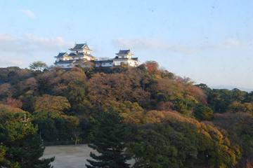 紀の国探訪記（前編）・和歌山城にあんな生きものが！？