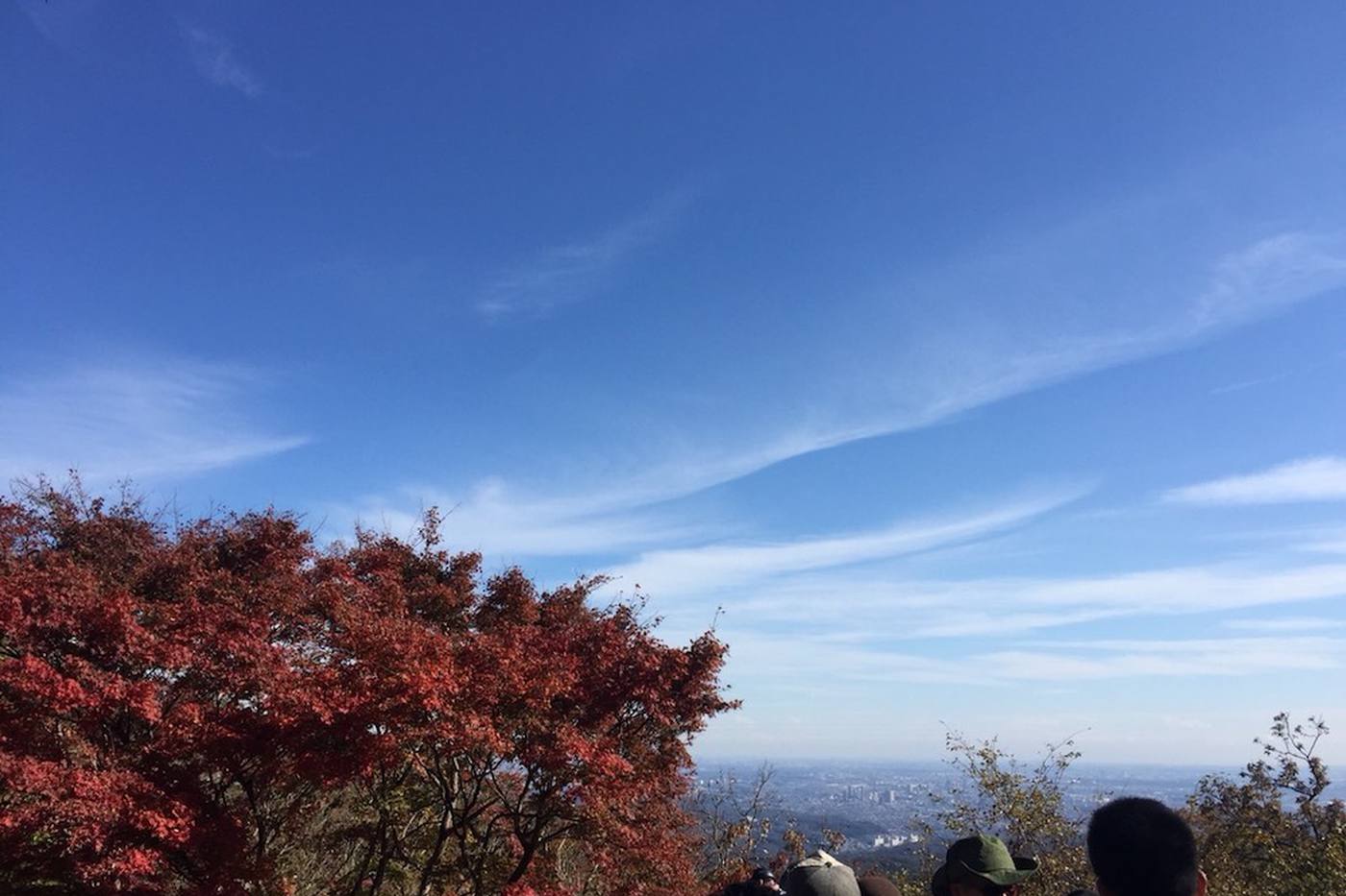 高尾山でお手軽登山コースとおいしいグルメを楽しもう image