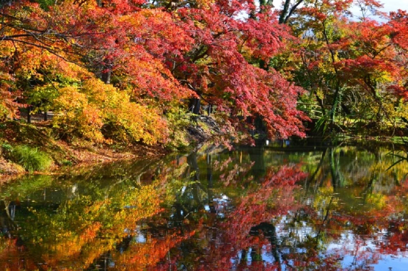 京都の秋を堪能しよう！北山エリアのおすすめスポットを紹介 image