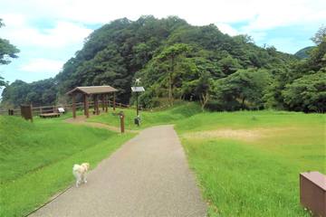 アウトドアに潜む危険！キャンプでの虫対策は？万が一刺されたときは？