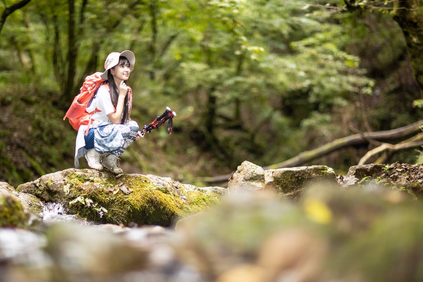 【初心者におすすめ】東京・奥多摩の人気スポット川苔山｜滝と渓流の登山を楽しもう image