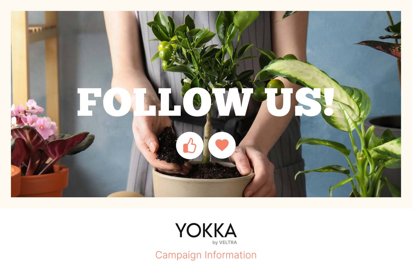 (終了しました) 6月4日締め切り！YOKKAキャンペーンに参加してみよっか！Wキャンペーン実施中 image