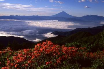 【山梨県】富士の絶景とツツジ群落が楽しめる甘利山｜基本情報と日帰り温泉