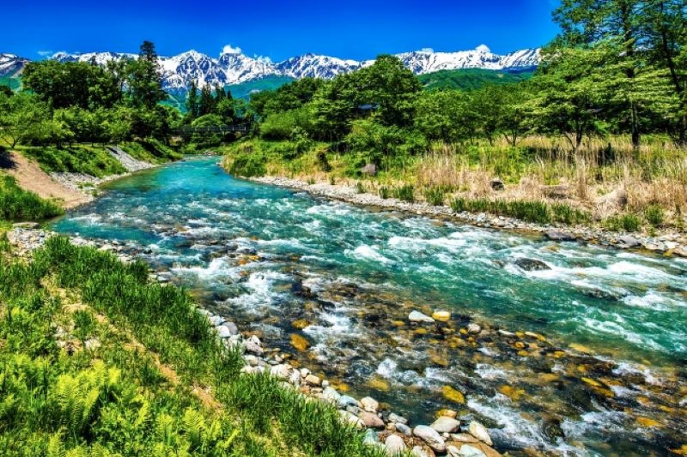 【長野 白馬夏旅】知っていたらもっと楽しい！おすすめ穴場スポット5選 image