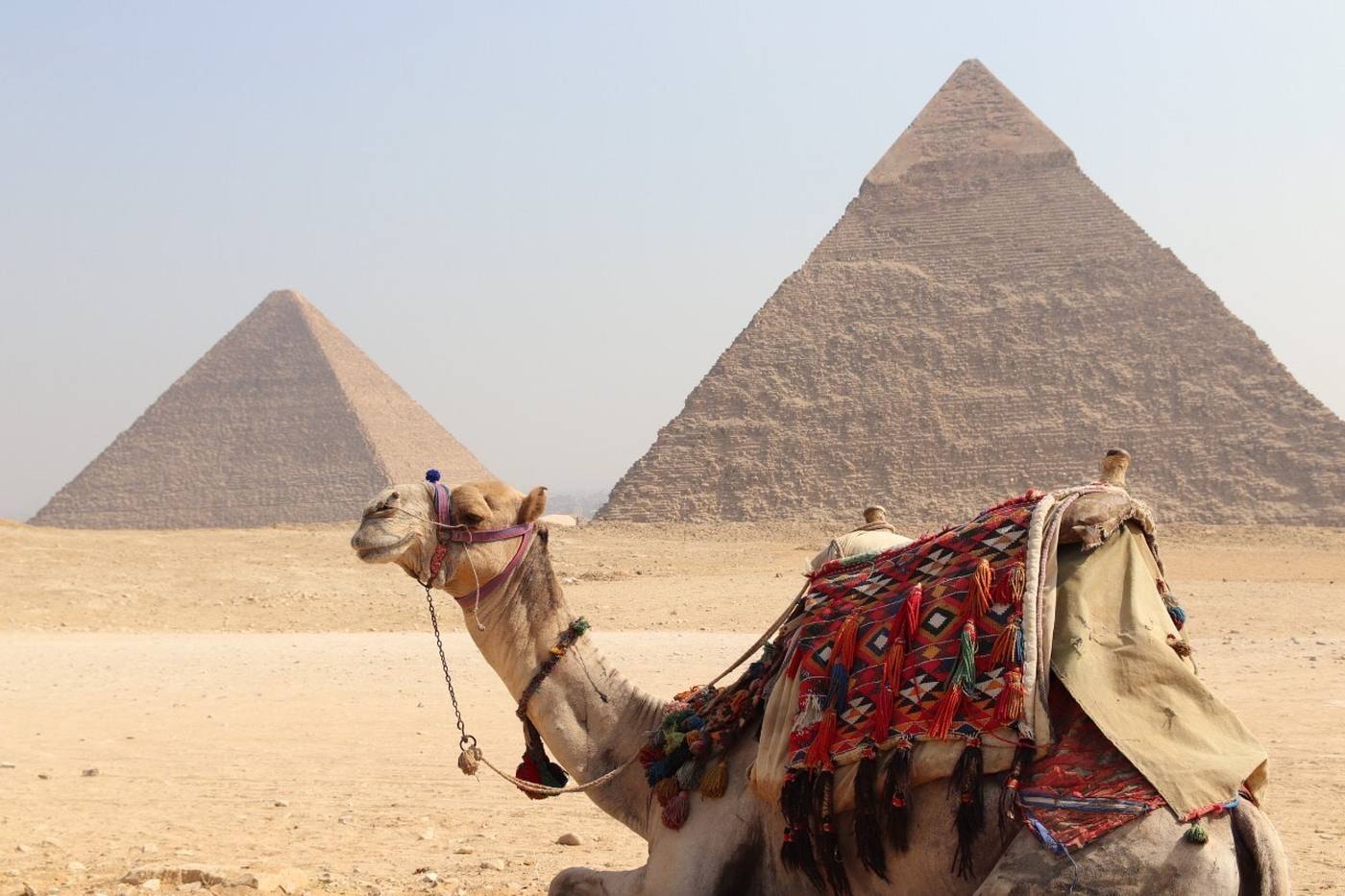 物価安！エジプトカイロに行こう 在住者おすすめ王道観光7選 image