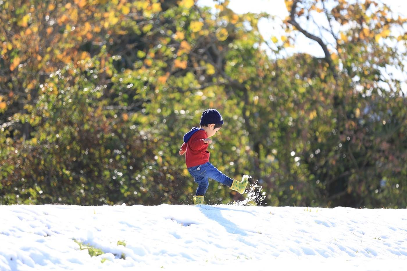 ＜長野＞【夏とは別世界！】雪の国営アルプスあづみの公園にファミリー参戦！（2023年） image