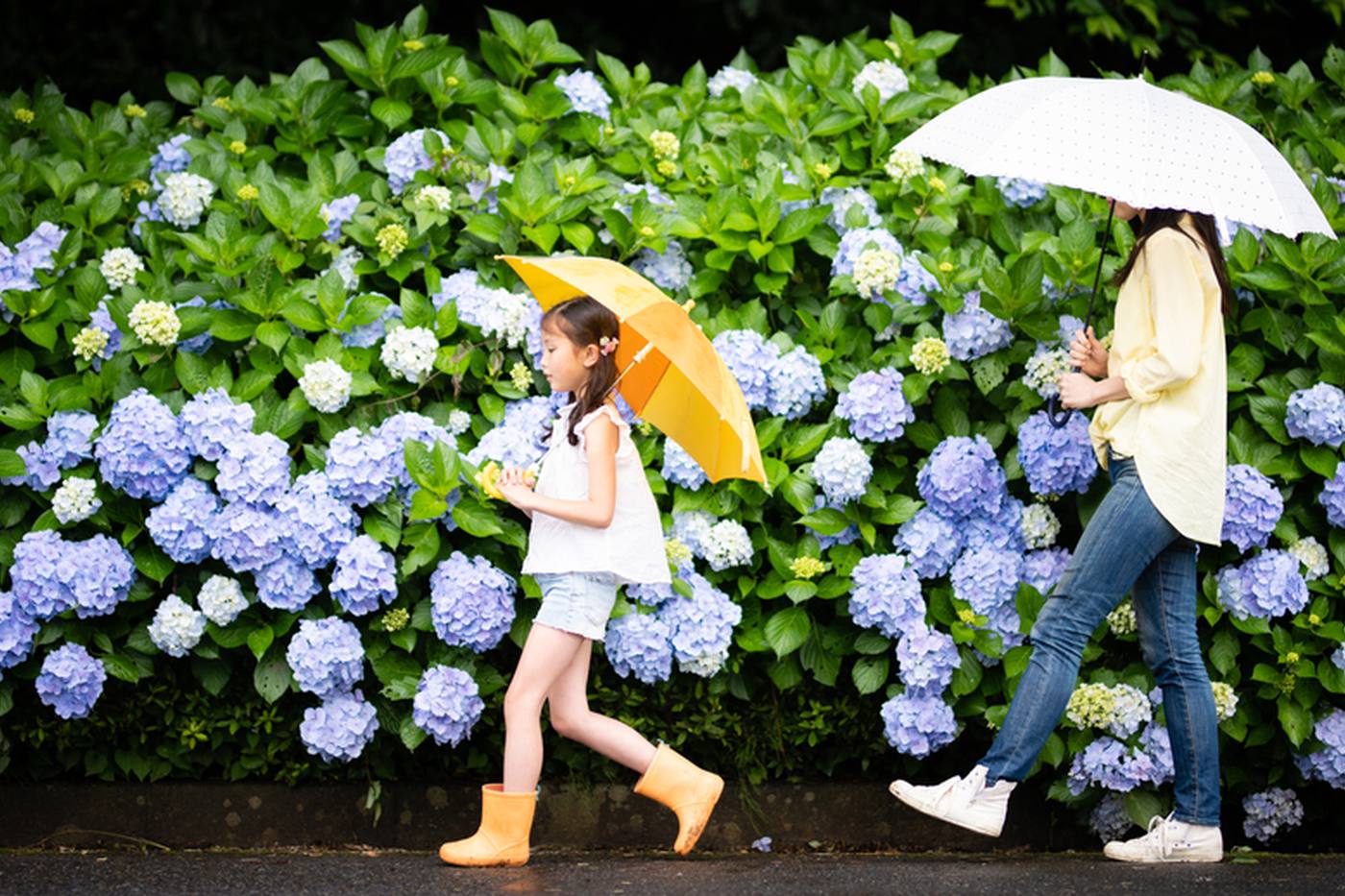 【関東】梅雨に人気のおでかけスポット19選！完全室内施設からあじさいスポットまで徹底解説 image