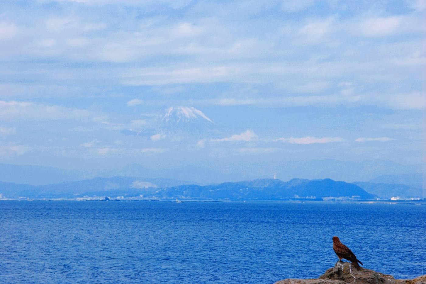 江ノ島の洞窟は富士山までつながっていた！？江ノ島岩屋の探検記 image