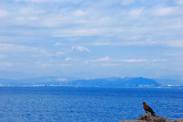 江ノ島の洞窟は富士山までつながっていた！？江ノ島岩屋の探検記