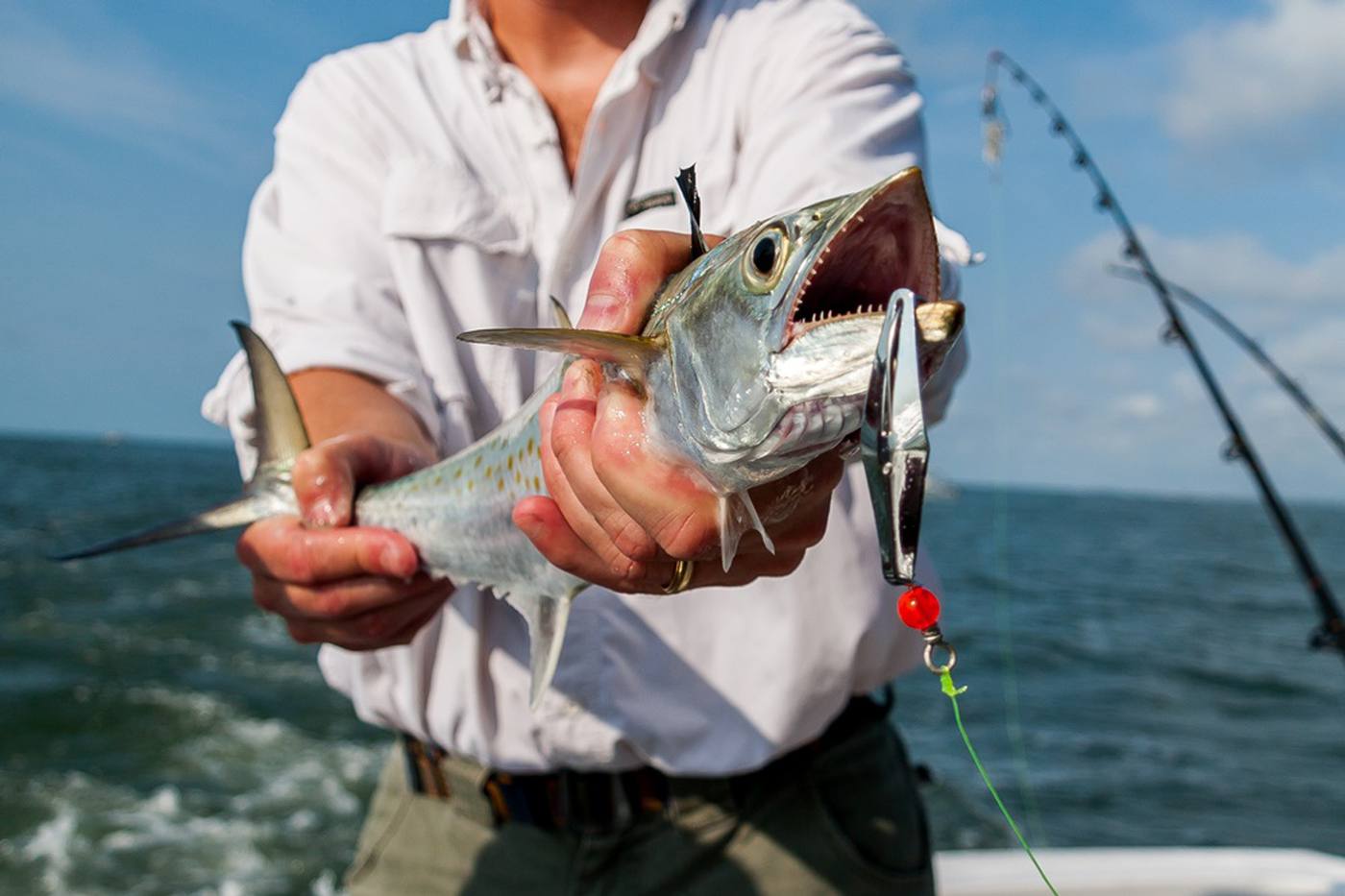 どんな魚が釣れるの？海釣り施設で釣れる魚の種類について解説！ image