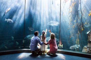 【おでかけ】名古屋港水族館の見どころを深掘り！基本情報とおすすめイベント11選