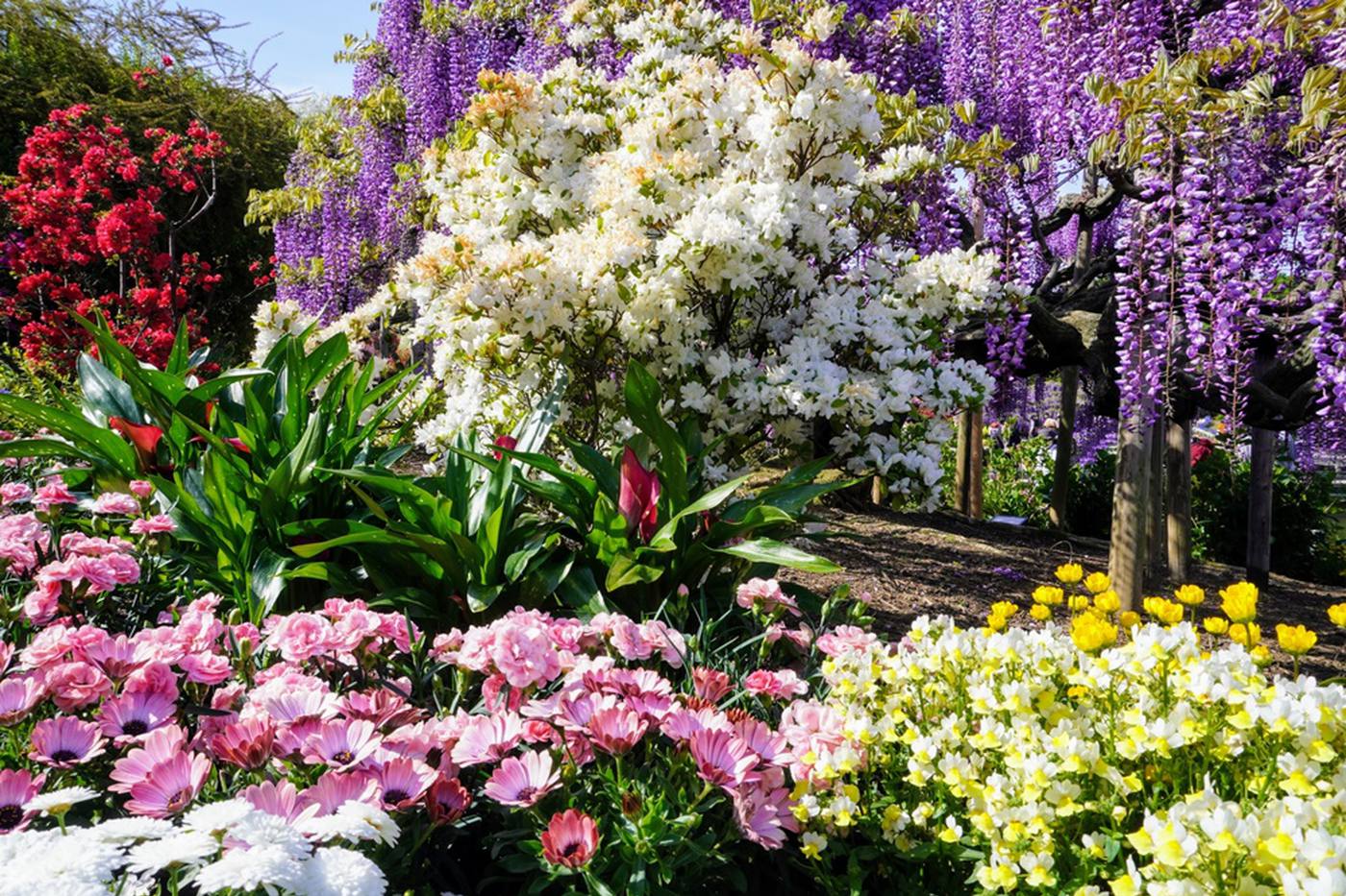 心を解放しよう！一度は行ってみたいおすすめ植物園３選～東日本編～ image