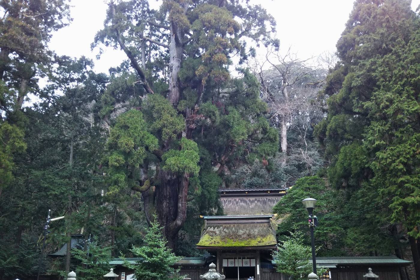 福井県小浜のパワースポット～若狭の神と仏に会いに行く～ image