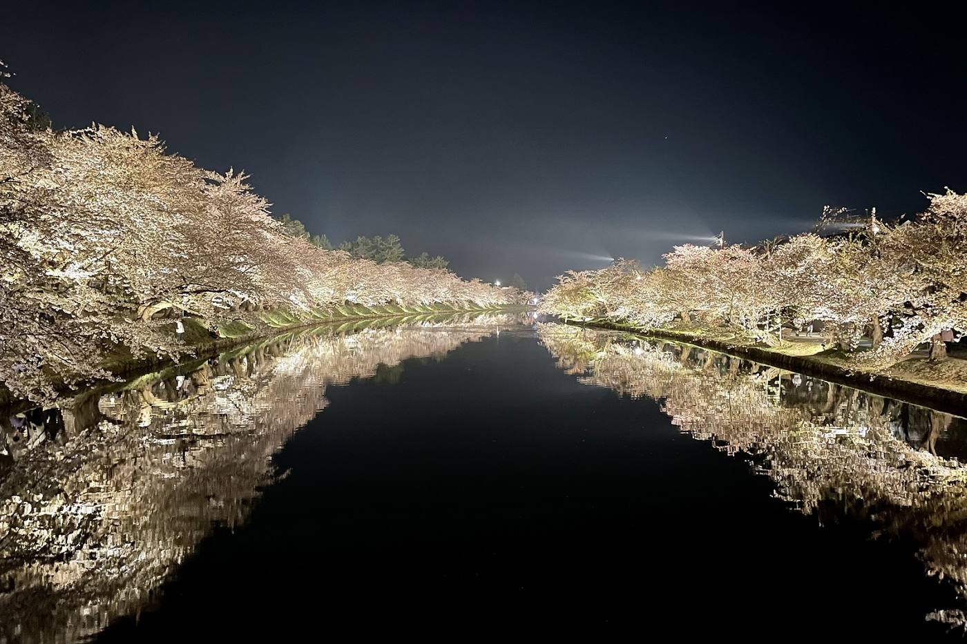 【弘前さくらまつり】一度は見るべき青森の桜！見どころ・おすすめ写真スポットをご紹介 image