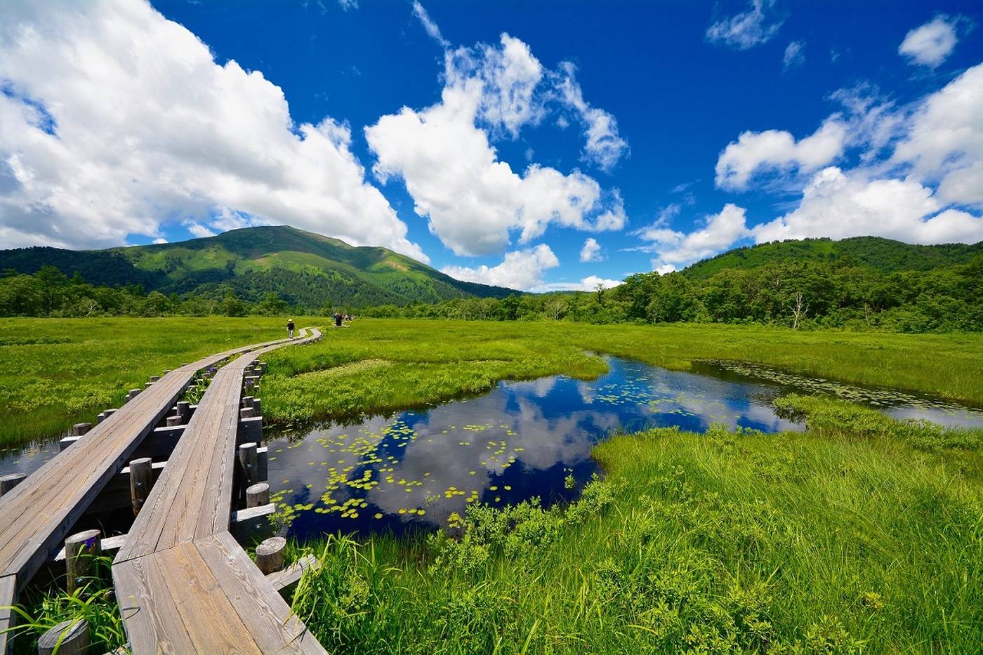 シーズン到来！尾瀬のハイキング・登山にでかけよう image