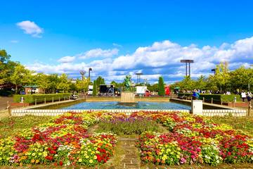 【大阪のオアシス】長居公園で1日遊ぼう！おすすめポイントと魅力をご紹介