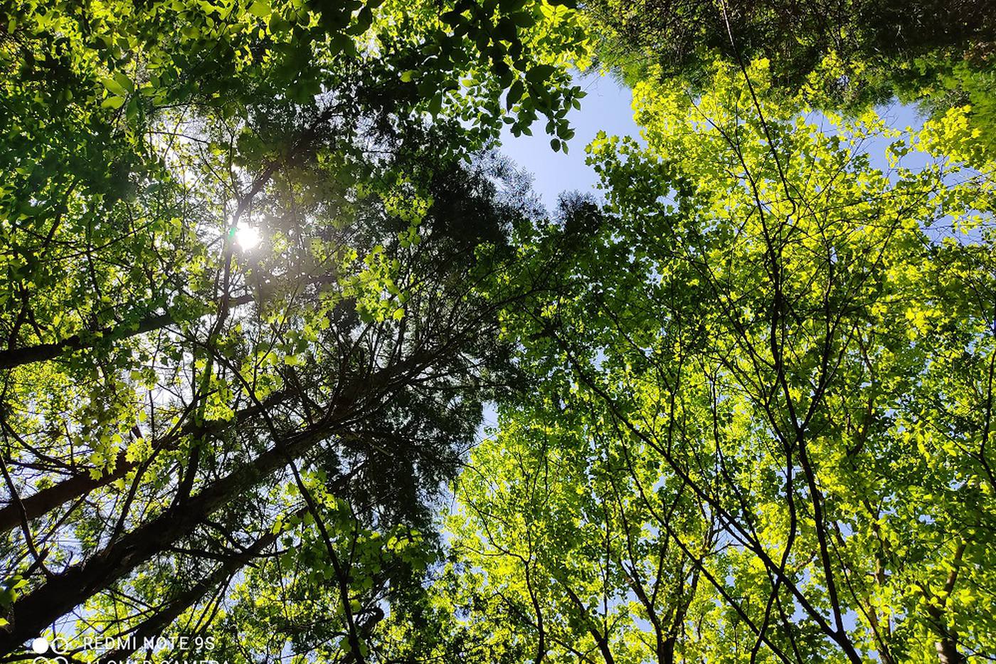 キャンプ場の3つの選び方｜初心者が見つけた選択ポイント image