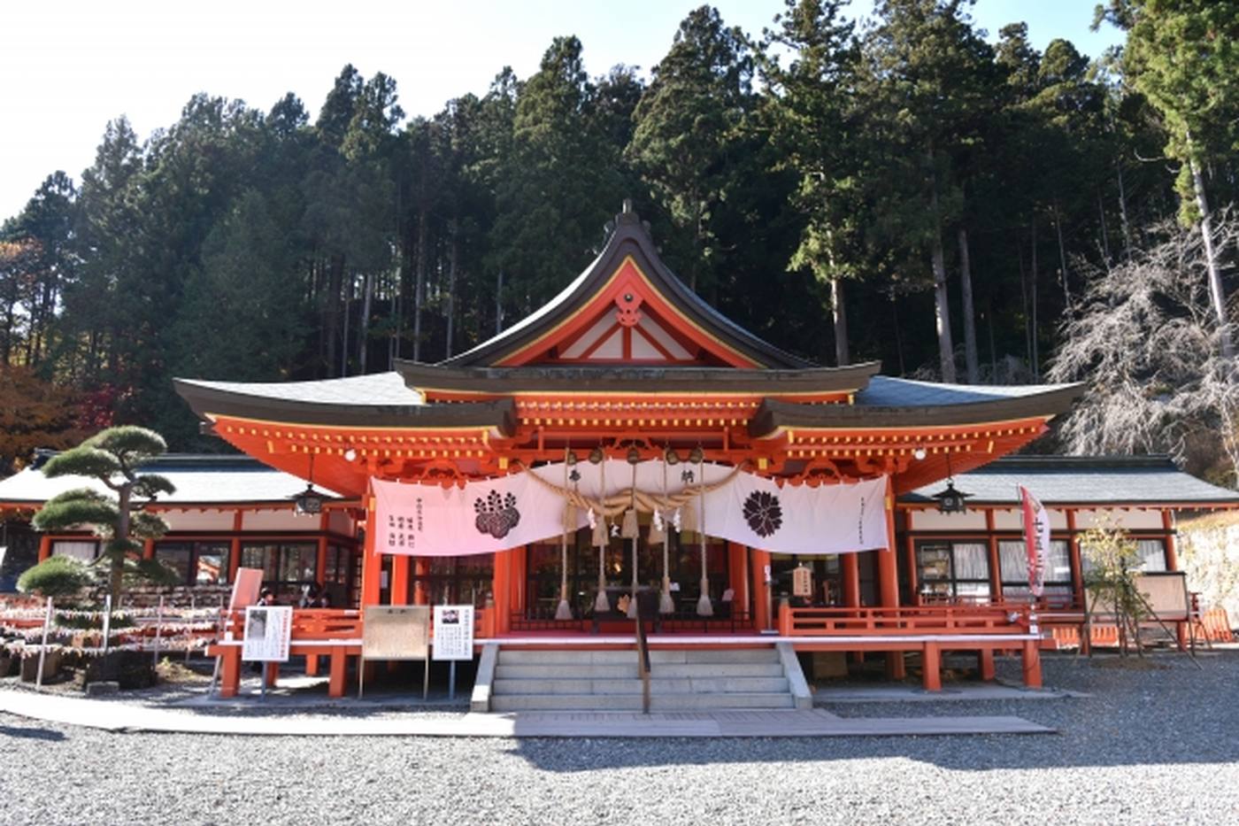 山梨県在住者おすすめ！金運のパワースポット「金櫻神社」の魅力や見どころ image