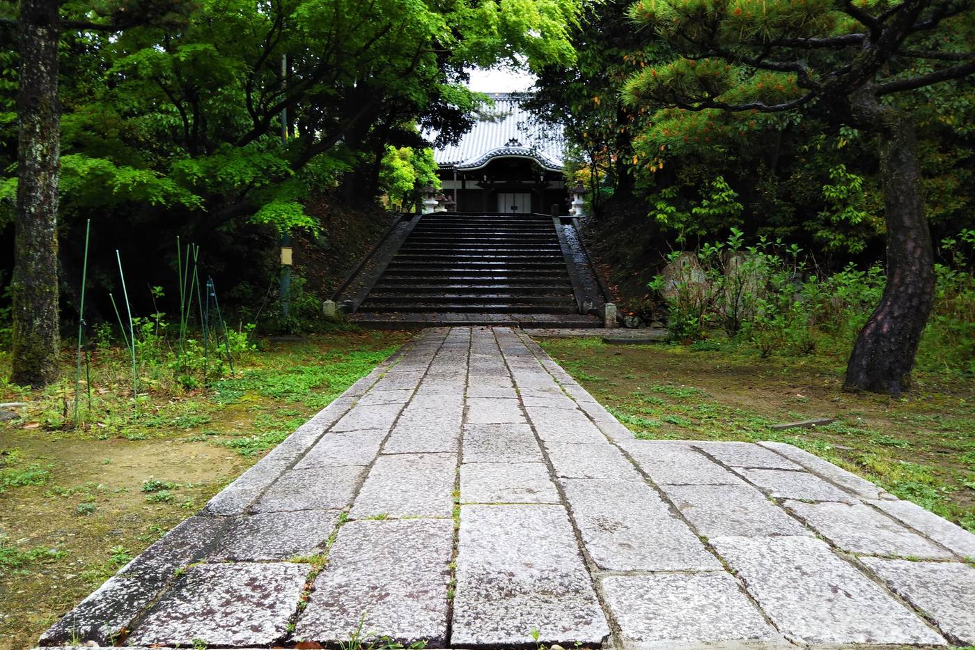 【愛知・尾張】頭脳明晰で学問上達！学業・合格祈願のパワースポット Part3 image