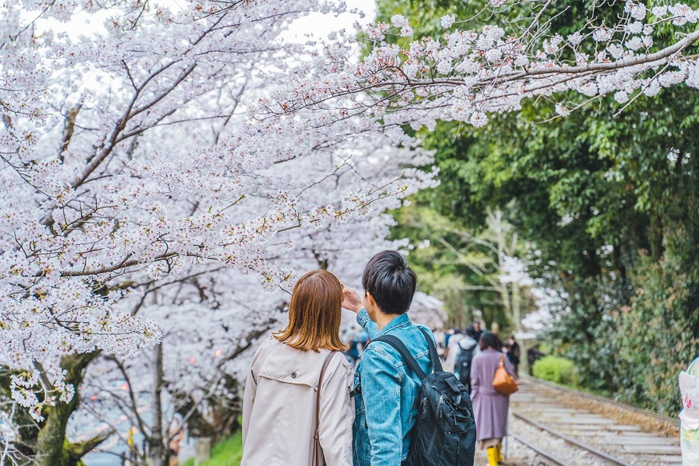 【2月2日は夫婦の日】夫婦で大人の修学旅行をしよう~歴史や美術を堪能できるおすすめ大人旅スポット image