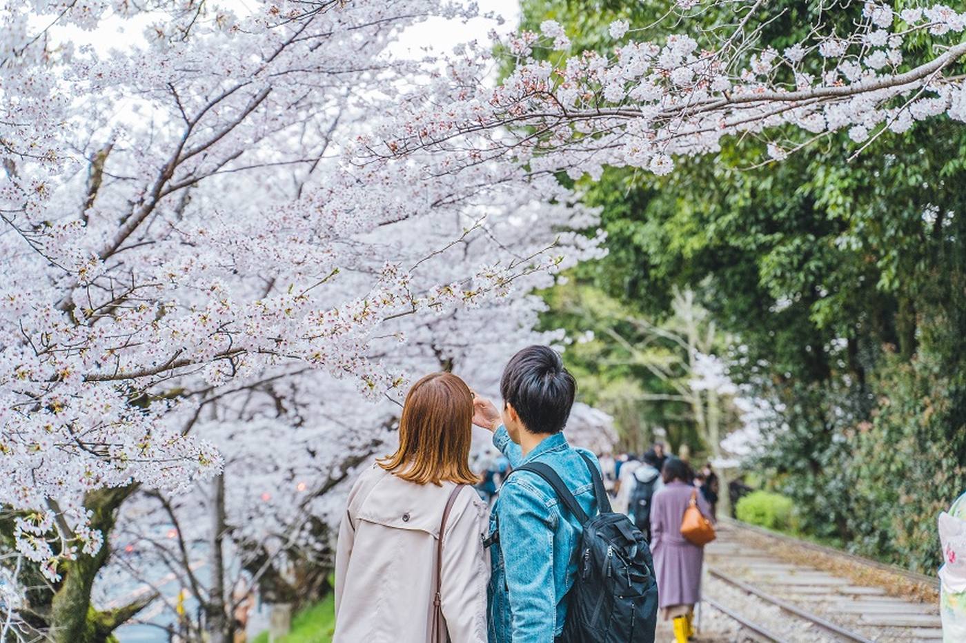 【2月2日は夫婦の日】夫婦で大人の修学旅行をしよう～歴史や美術を堪能できるおすすめ大人旅スポット image