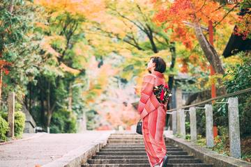 京都ひとり旅女性向けモデルコース｜古都を独り占めする旅の提案