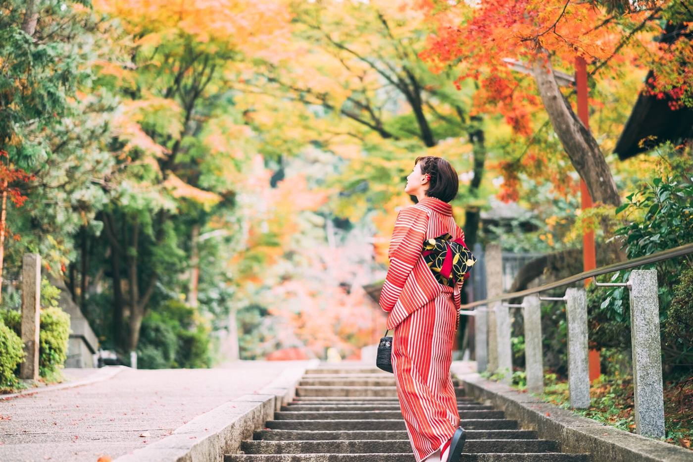 京都ひとり旅女性向けモデルコース｜古都を独り占めする旅の提案 image