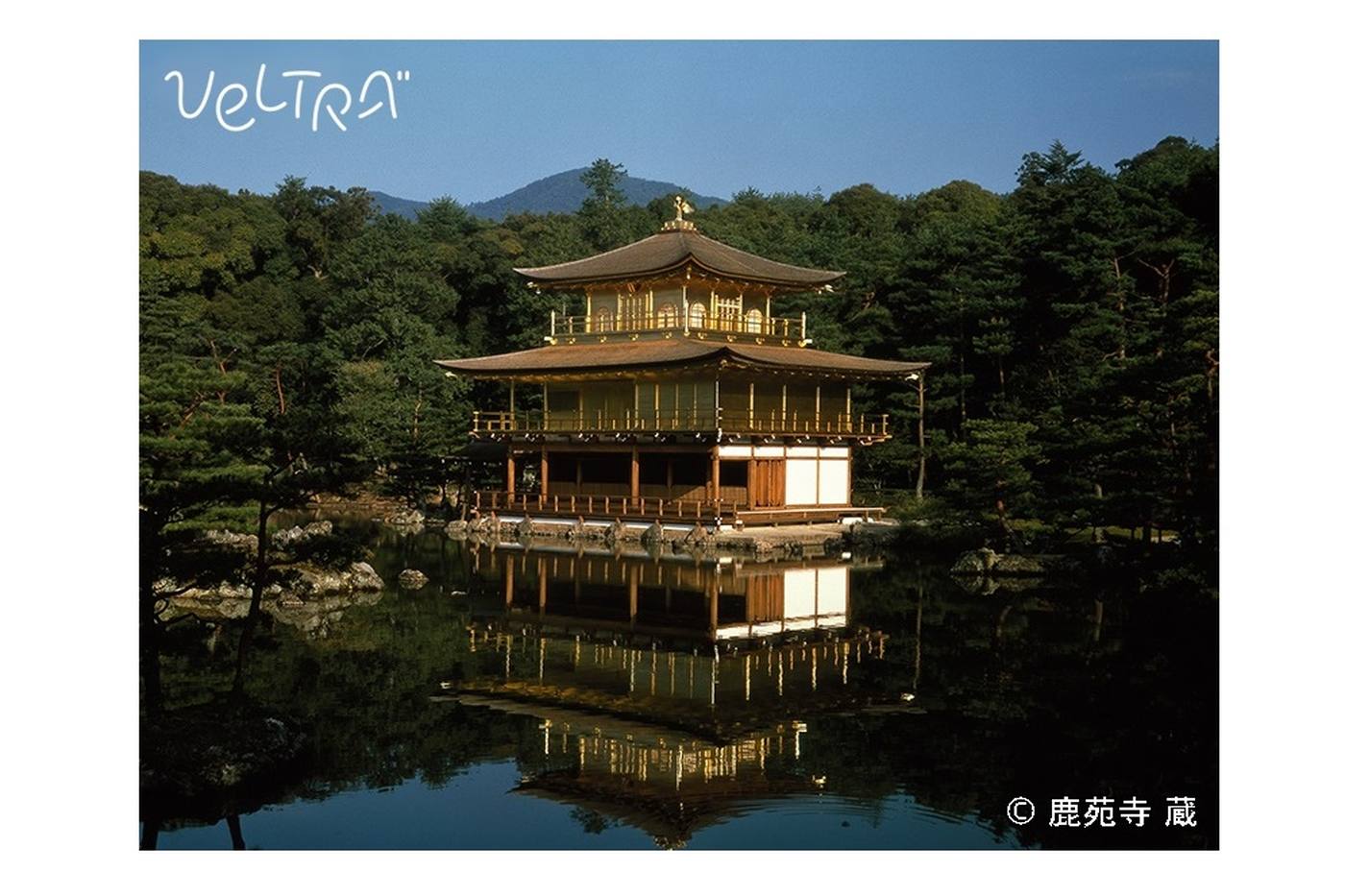 京都駅から金閣寺へ！アクセス完全ガイド＆旅行者のためのアドバイス image