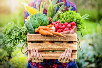 【家庭菜園】肥料で野菜の味が変わる？おすすめの肥料と使い方！