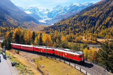 【海外列車の旅】地上でしか見られない景色がある！憧れの列車に乗って世界を旅しよう♪