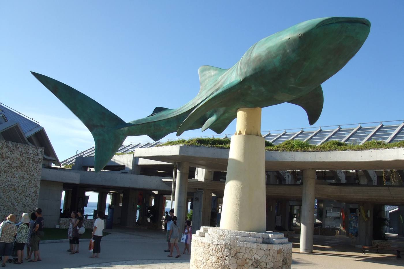 【沖縄好き女子が厳選！】美ら海水族館とマリンレジャーを楽しむ1泊2日プラン image