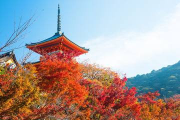 京都2泊3日モデルコース｜東山から宇治・伏見へ、絶景と文化の完全ガイド