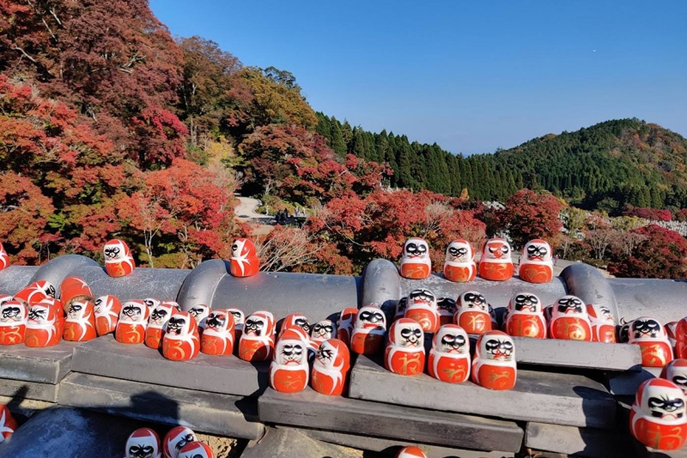 【大阪】景色＆グルメを満喫！ドライブで訪れる神社仏閣の旅 image