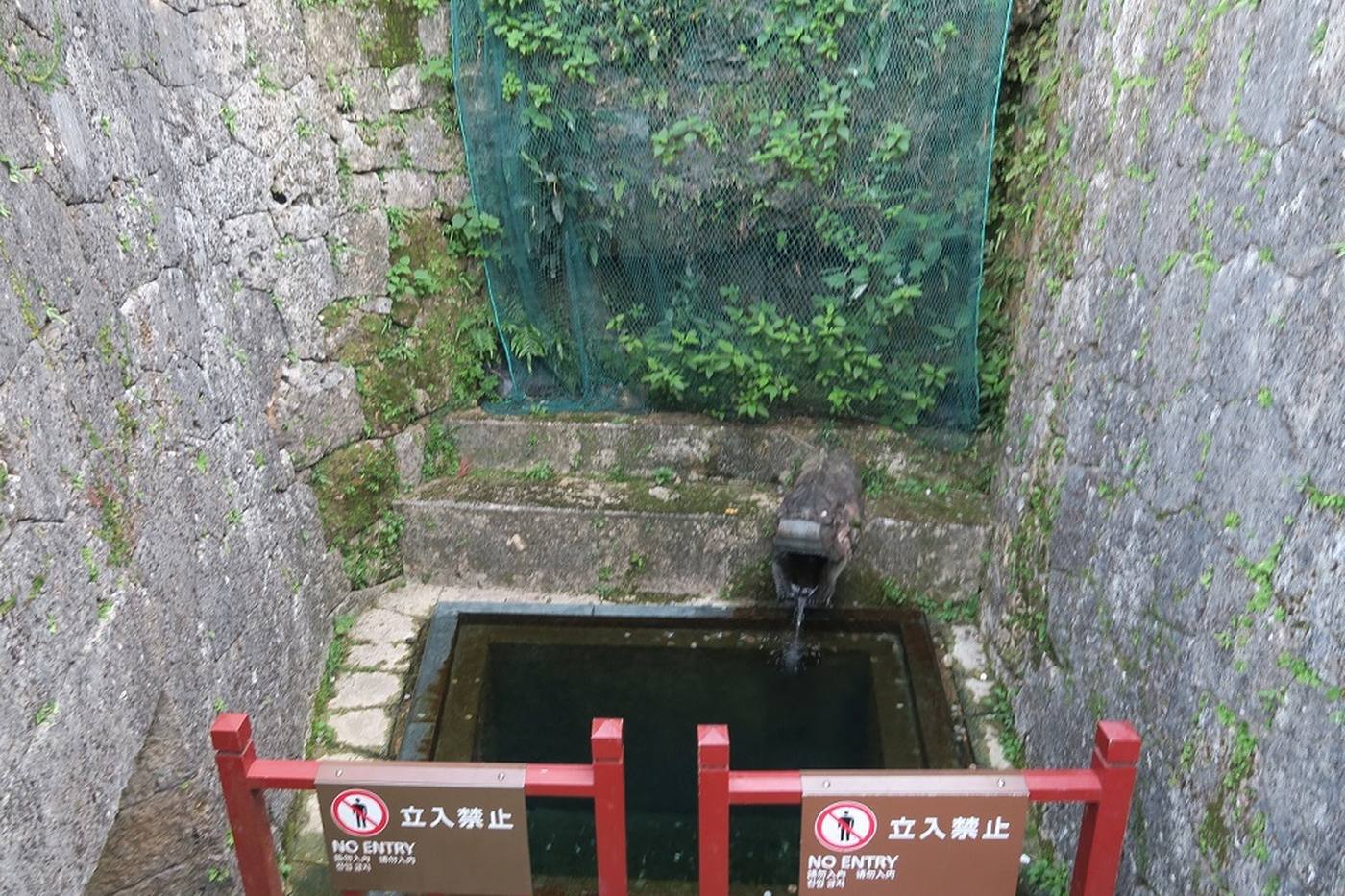 【沖縄】那覇市民もあまり知らない穴場スポット！湧き水めぐりをしよう image