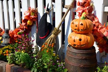 【家庭菜園】ひと工夫でハロウィン♪ 気軽にハロウィンガーデンにチャレンジ！