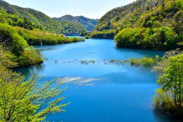 ＜5月中旬までにぜひ！＞春限定の青の絶景！四万ブルーが楽しめるおすすめスポット3選【群馬県】