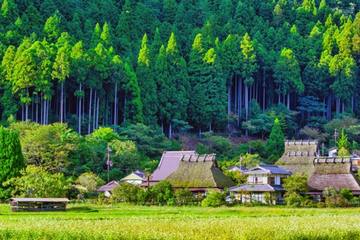 【京都】美山の風物詩「かやぶきの里雪灯廊」で幻想的な風景を満喫しよう