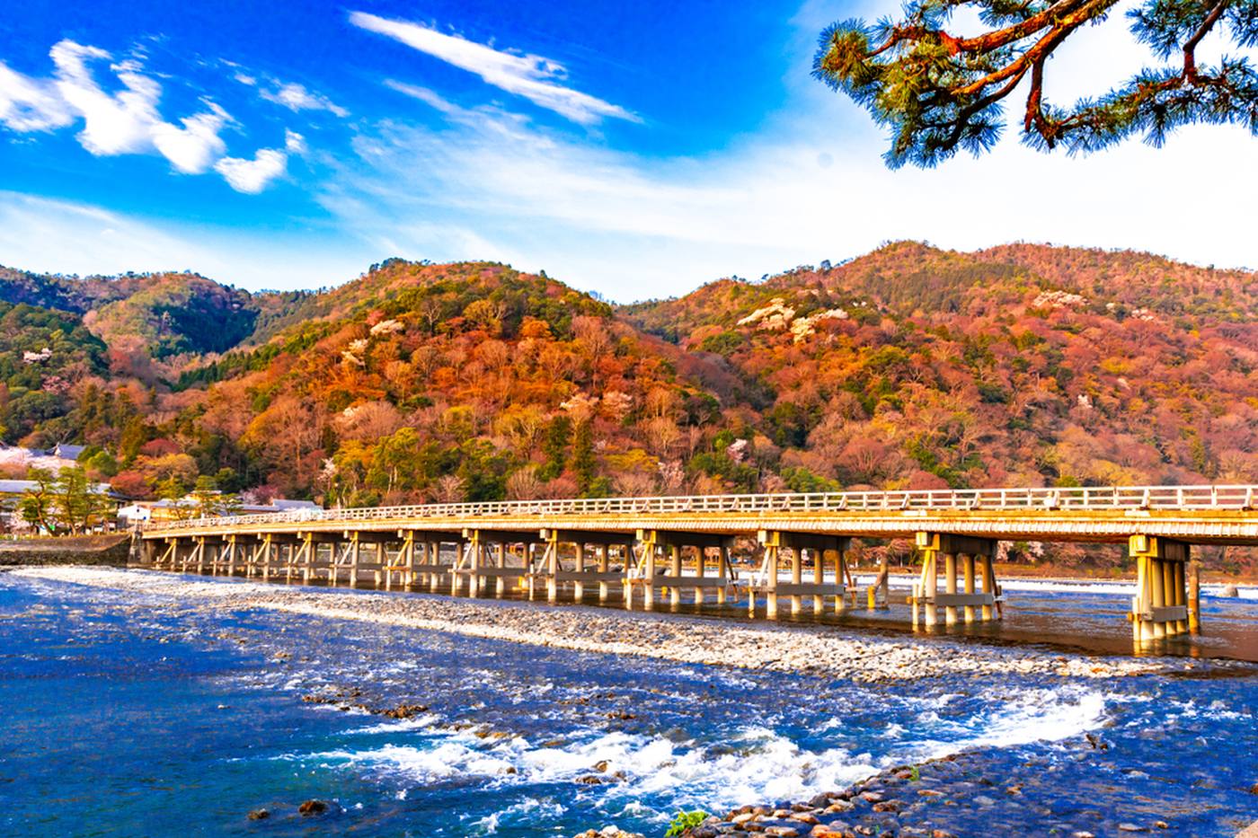 【2023年 関西おすすめ紅葉スポット】紅葉と歴史を満喫！定番からSNS映えスポットまで16選解説 image