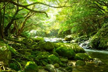 ＜九州＞福岡・長崎以外の穴場旅行スポットへ行こう！おすすめ5選をご紹介