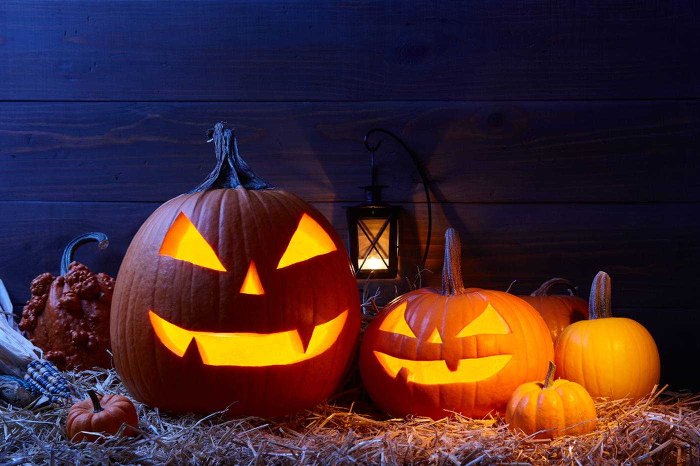 【ハロウィンガーデニング】手作りかぼちゃでジャック・オ・ランタン image