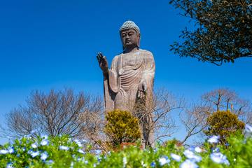 【茨城】牛久ってこんなに楽しかった？観光スポットと地元パン屋を巡る旅