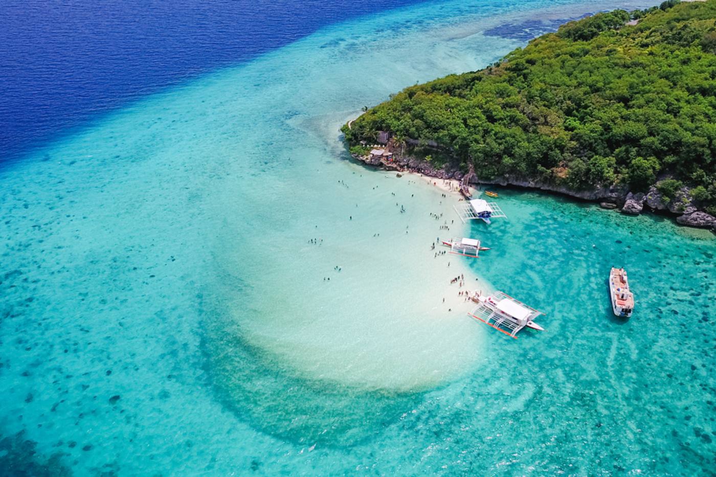 【セブ島】絶対外せないスポット4選｜ジンベイザメやカラフルな熱帯魚とシュノーケリング三昧の旅 image