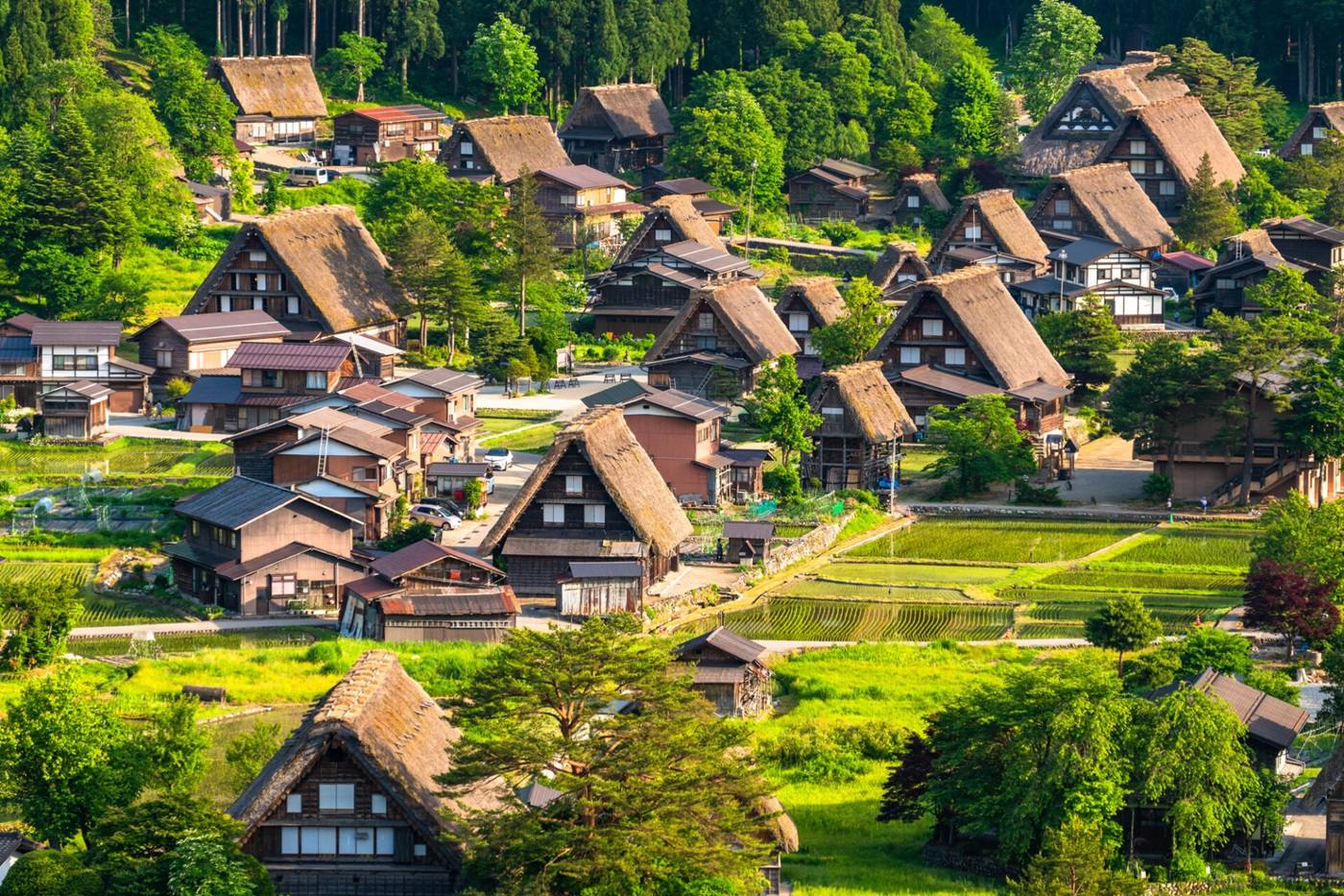 白川郷観光モデルコースで巡る！絶景と合掌造りの美を体験する2日間 image