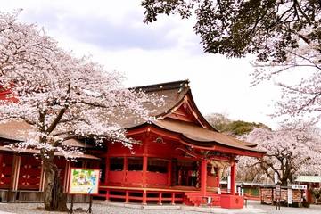 富士山がご神体！浅間神社の総本宮「富士山本宮浅間大社」を徹底紹介