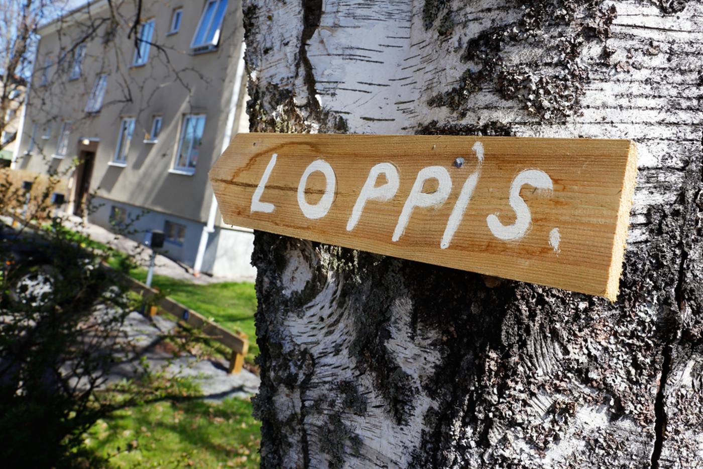 スウェーデンの蚤の市 ”Loppis（ロッピス）”とは？地元民と実際に行ってみた！ image