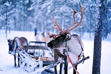 【フィンランド】最北の地ロヴァニエミに冬の絶景を見に行こう！おすすめプラン5選