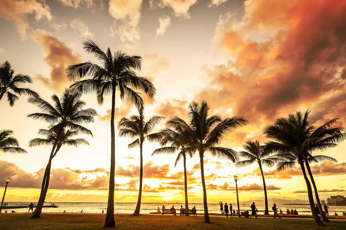 【2月～5月】旅行が安いシーズン到来！ハワイ・ワイキキのおすすめ観光スポット8選 image
